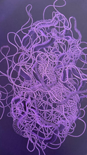 Load image into Gallery viewer, MadalenaNegrone-EntangledOvalPurple1-TourneGallery
