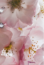 Load image into Gallery viewer, JuanBernal-Cherry Blossoms-LeonardTourneGallery
