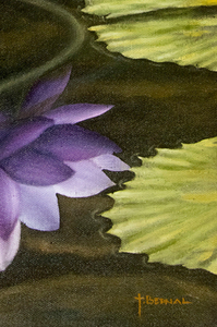 Tourné Gallery- Juan Bernal -Purple Waterlily