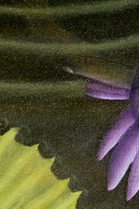 Tourné Gallery- Juan Bernal -Purple Waterlily