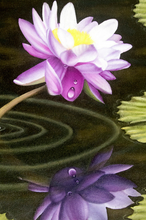 Load image into Gallery viewer, Tourné Gallery- Juan Bernal -Purple Waterlily
