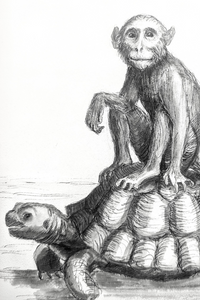 THE TORTOISE AND THE MONKEY by CRISTINA VERGANO