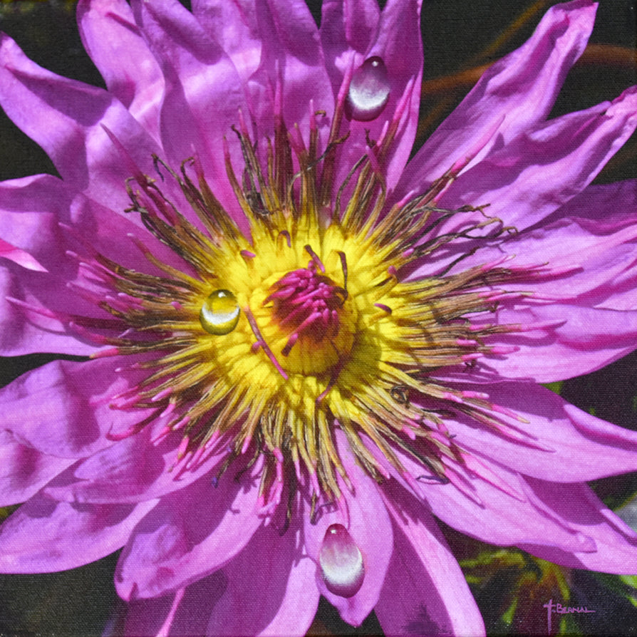 JuanBernal-Clematis-LeonardTourneGallery