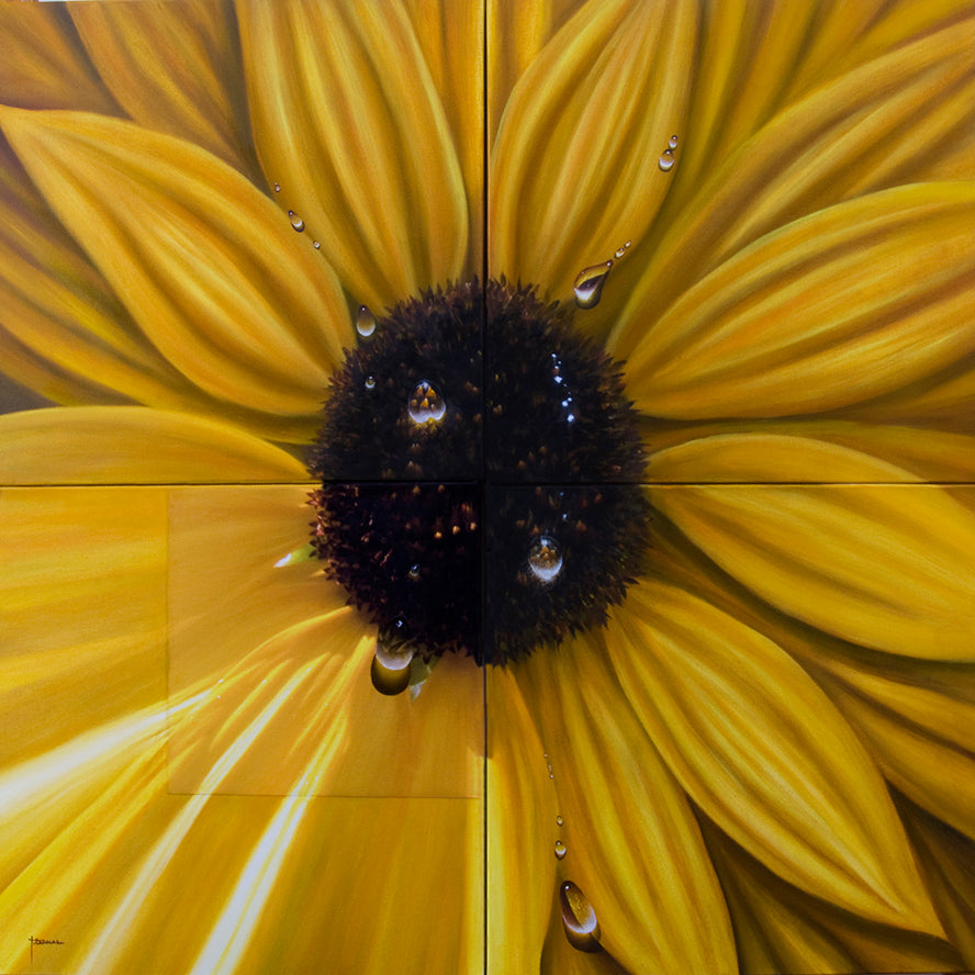 uanBernal-SunFlower-LeonardTourneGallery