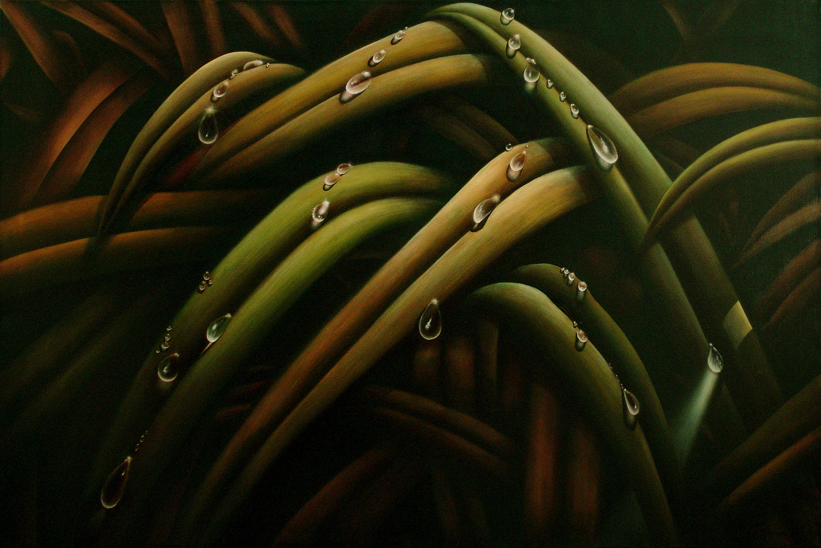 Tourne Gallery- Juan Bernal - Dew II