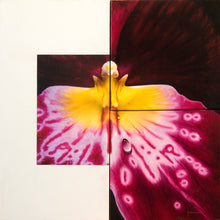 Load image into Gallery viewer, TourneGallery-JuanBernal-MiltoniaOrchid
