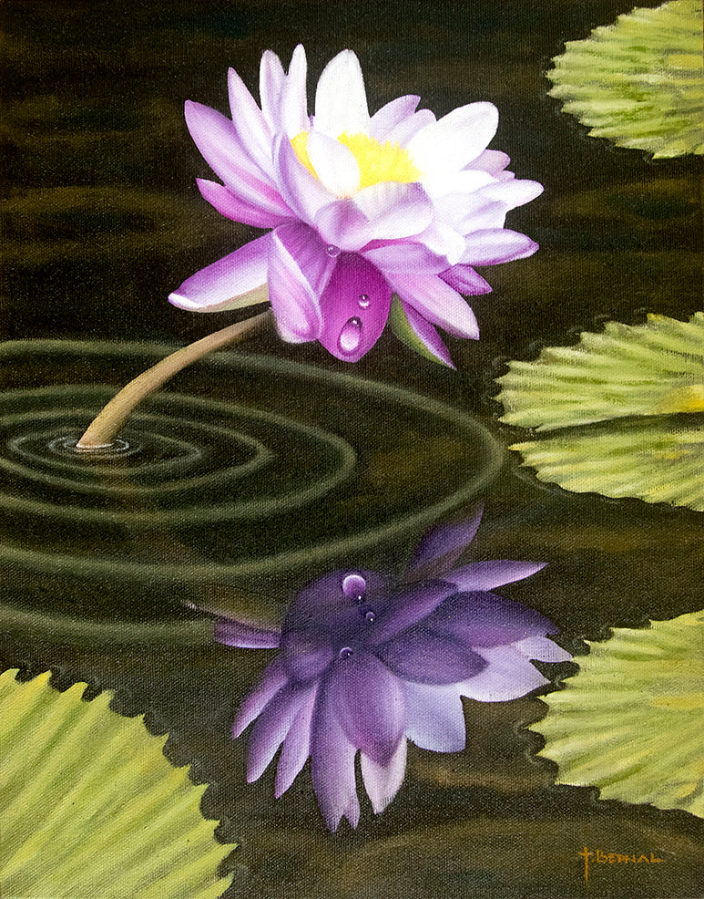 Tourne Gallery- Juan Bernal -Purple Waterlily