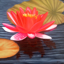 Load image into Gallery viewer, TourneGallery-JuanBernal-Red Waterlily
